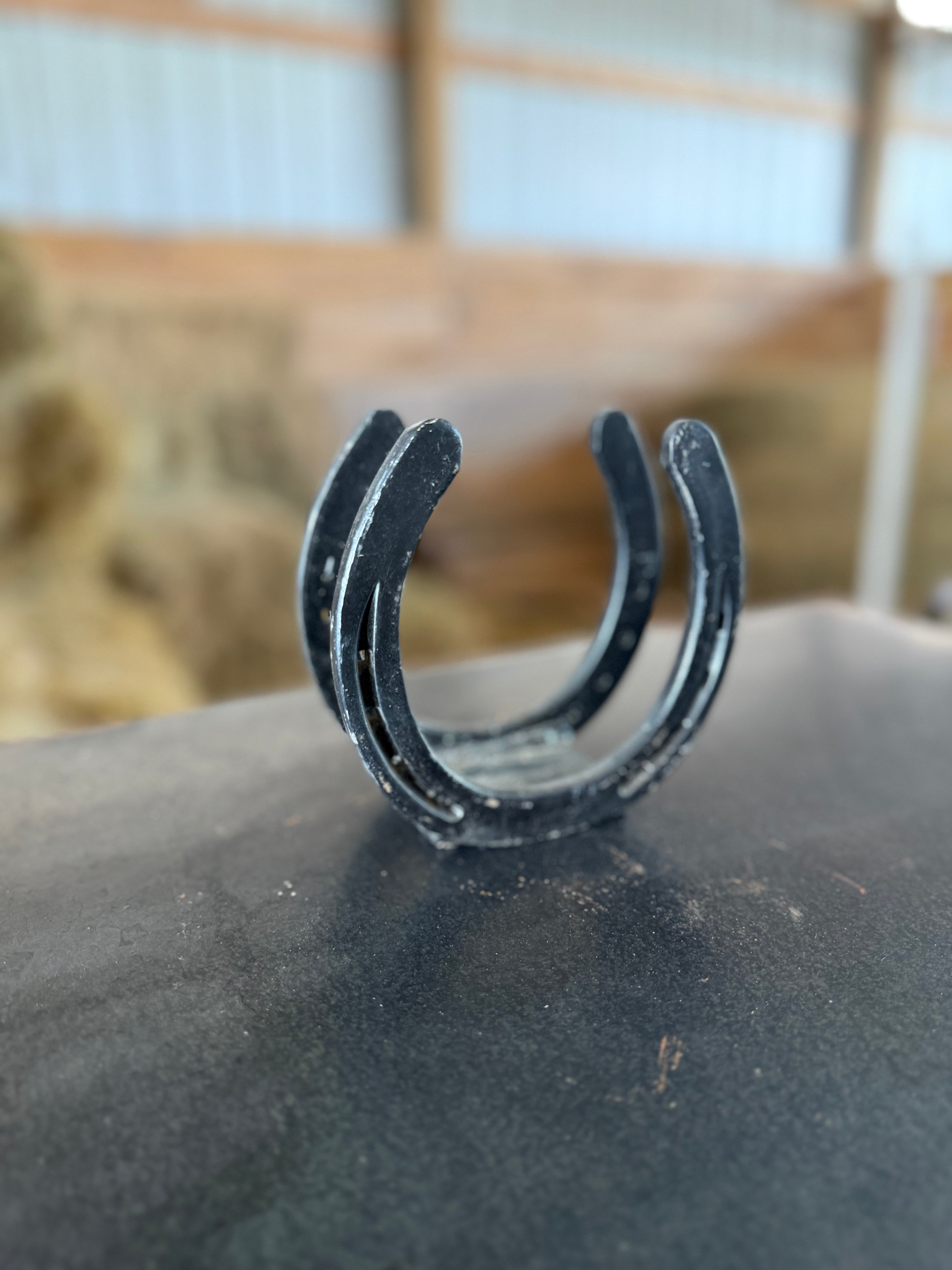 Horseshoe Napkin Holder