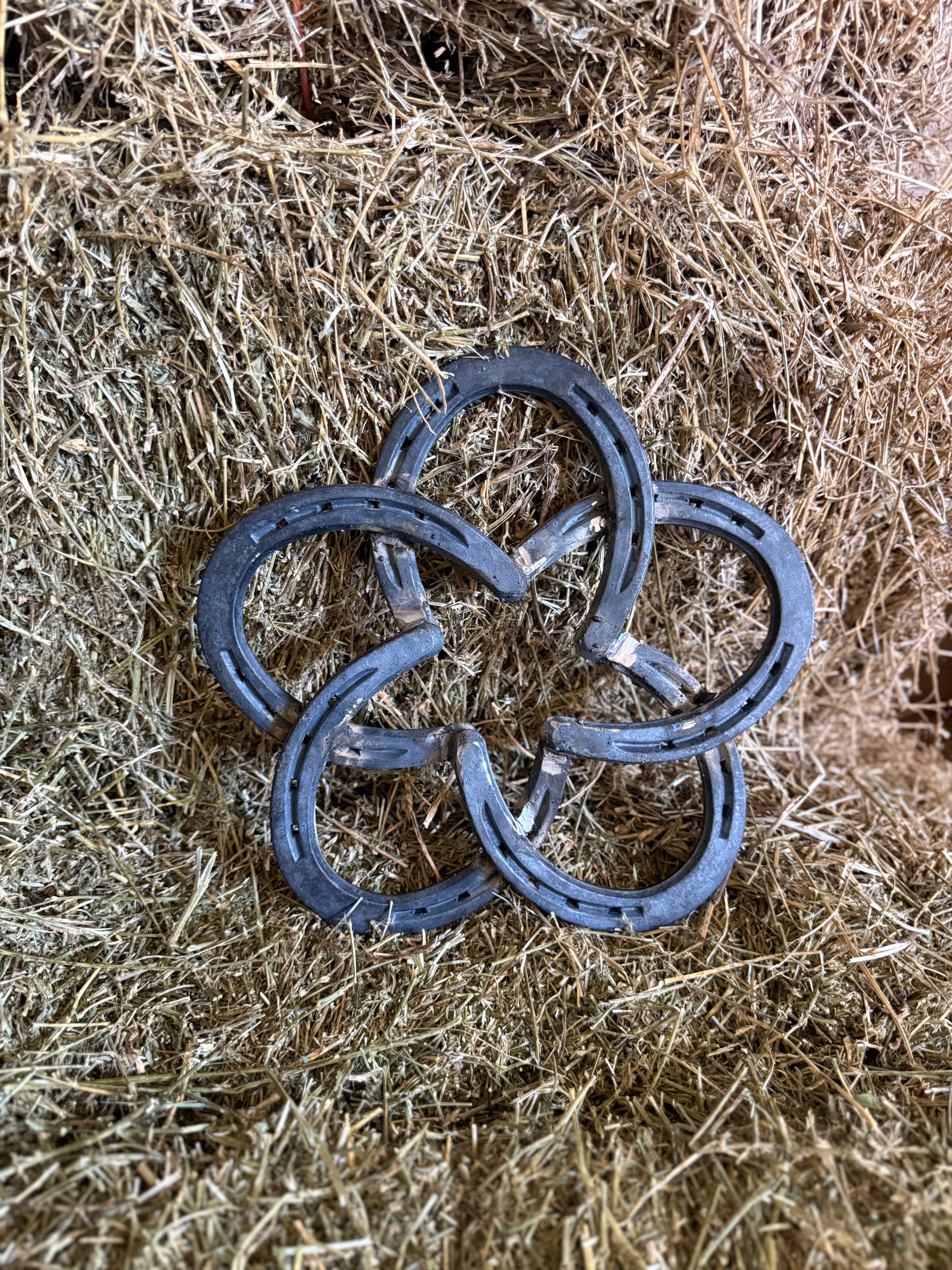 Horseshoe Star