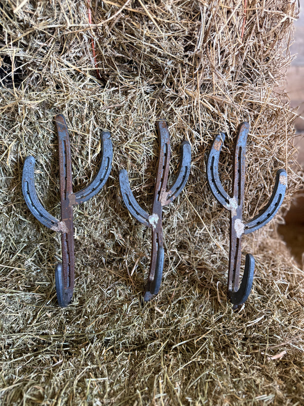 Cactus Hooks (set of 3)